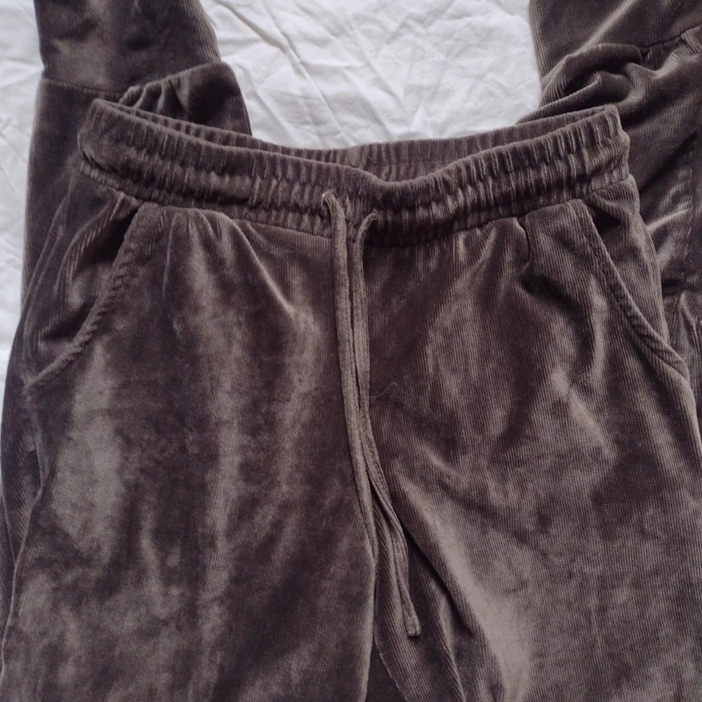 Mudd Velvet / Suede Joggers Size Medium